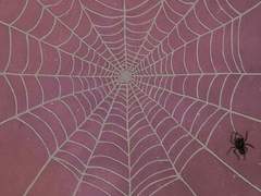 [호비그웬/ 귀걸이 걸어주던 사이가 02]