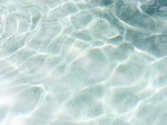 [슬램덩크] 이곳에 우리가 있으므로