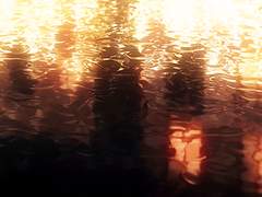 달링은 전직 양키 14