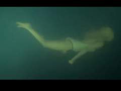 인어와 플라나리아 01