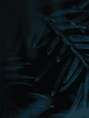 앞이 보이지 않아