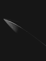 칼을 품은 겨울