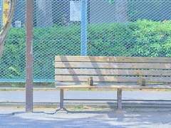 지루한 여행 일기