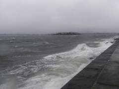 해변 살인 사건