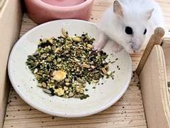 아가씨를 보내며,