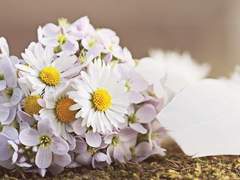 애일 · XY · 3반