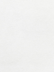 어설트릴리 캐해