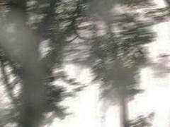 치사량의 낙하공상