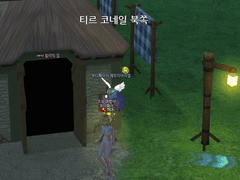 (1) 티르 코네일, 힐러의 집