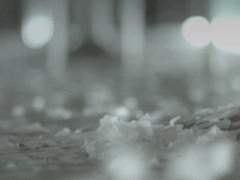 [ 왕쓰이 / 29 / 조폭 ]