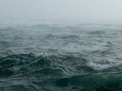 히라다 레이와 / XY / 무장 탐정사