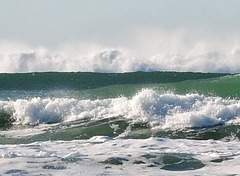 한 여름밤의 꿈