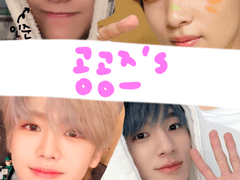 공공즈 대학 이야기