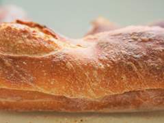 성심당 리뷰: 식사용 빵편