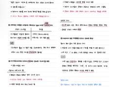 당신이 나무를 더 사랑하는 까닭