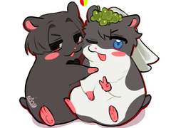 햄리벤 연성백업🐹