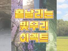 코코포리아용 흩날리는 빛무리 소재