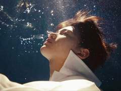 밧줄에 묶인 코끼리