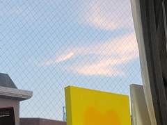 D+146 한국에 돌아가고 싶어지는 이유