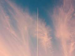 모든 걸 망각한 너에게