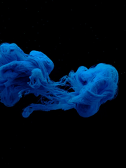 은퇴한 닌자도 마법사가 될 수 있을까요