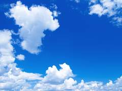 (백업) 원쌤은 신작에서 살아 나 혼자 스핀오프 망상으로 지지고 볶고 요리할 거야