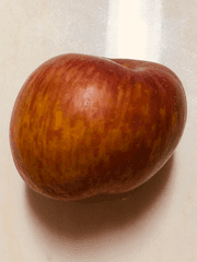 하늘에서 사과가 떨어진다면?