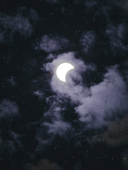 [흑집사] 세바시엘