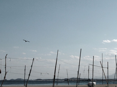 부둣가의 풍경을 기억하는 건 3