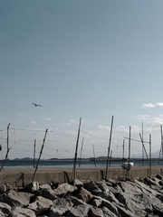 부둣가의 풍경을 기억하는 건