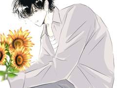 해바라기 정구기