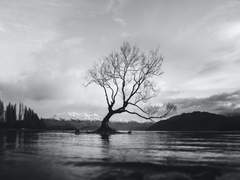 잃은 것을 다시 찾을 욕심