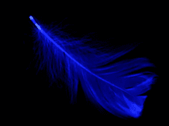 Grace Theory (제 2장)