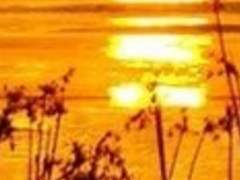 어머니, 어머니!