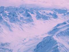 왜 북부대공님은 자작님에게 사과를 주었을까.