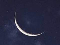 Sei un po’ strano oggi, ragazzino.