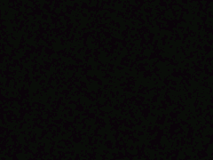 [소하치] 7일째, 거울이 깨지기 전에 (下)