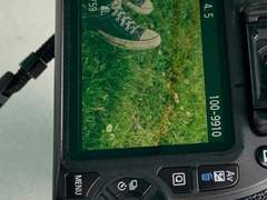 희망이라기엔 과분하기에