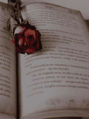 [프리드리히 인문철학총서] 11. 삶의 목적에 관한 즐거운 지식