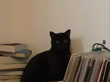 [션꿍] 로봇부장