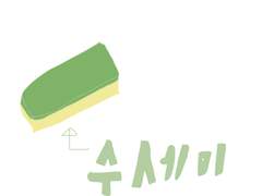 장 전용 수세미 먹방