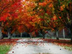 배운 적이 없다