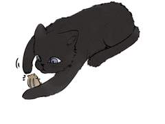 깜고마홈 레레햠