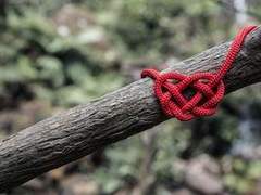 정우성이 저를 좋아하지 않게 해주세요.