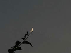 Sperando di vederti più a lungo