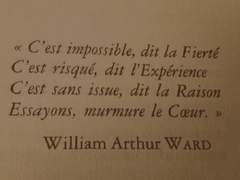 이 사하 Saha Lee / XY / 50세