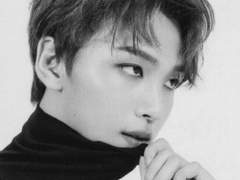 레전더리 센티넬 9.5 (Clean)