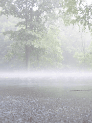 그 해 여름 장마