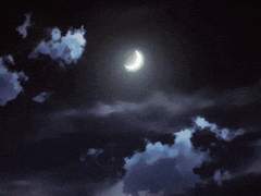 모든 걸 망각한 내가