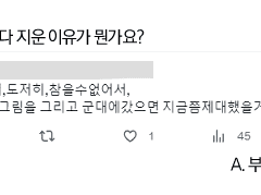 [세포신곡] 백업 (1)